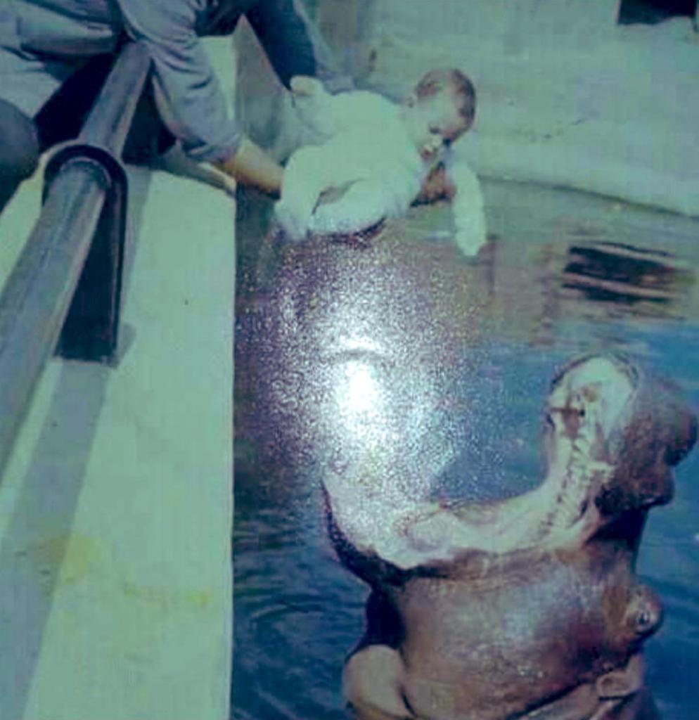 عقب يقولون ليش جيلكم عصبي وأحيانا فيكم توحد 

تراكم ماعشتوا طفولتنا الناعمه 😌