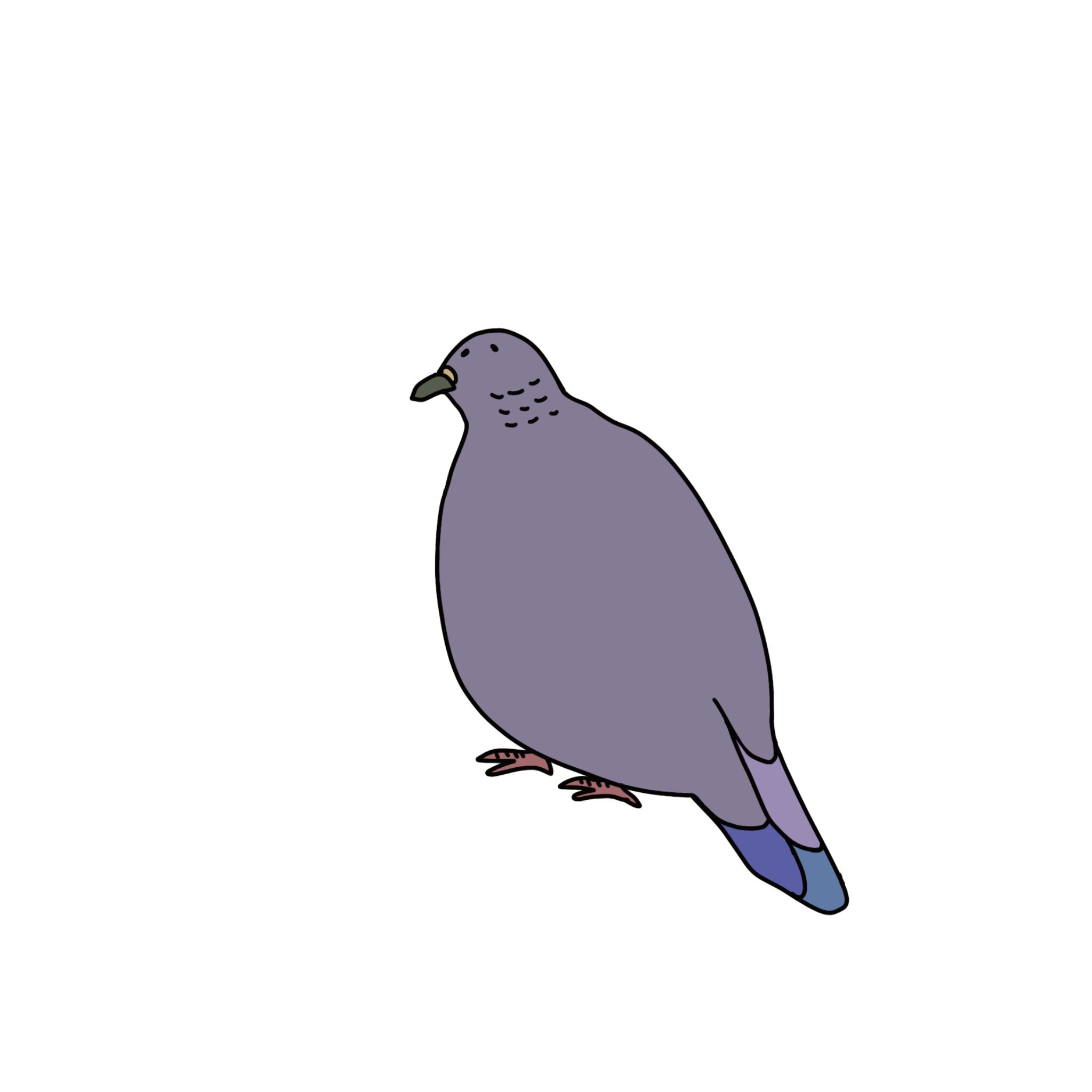 鳥のイラスト Twitter Search Twitter