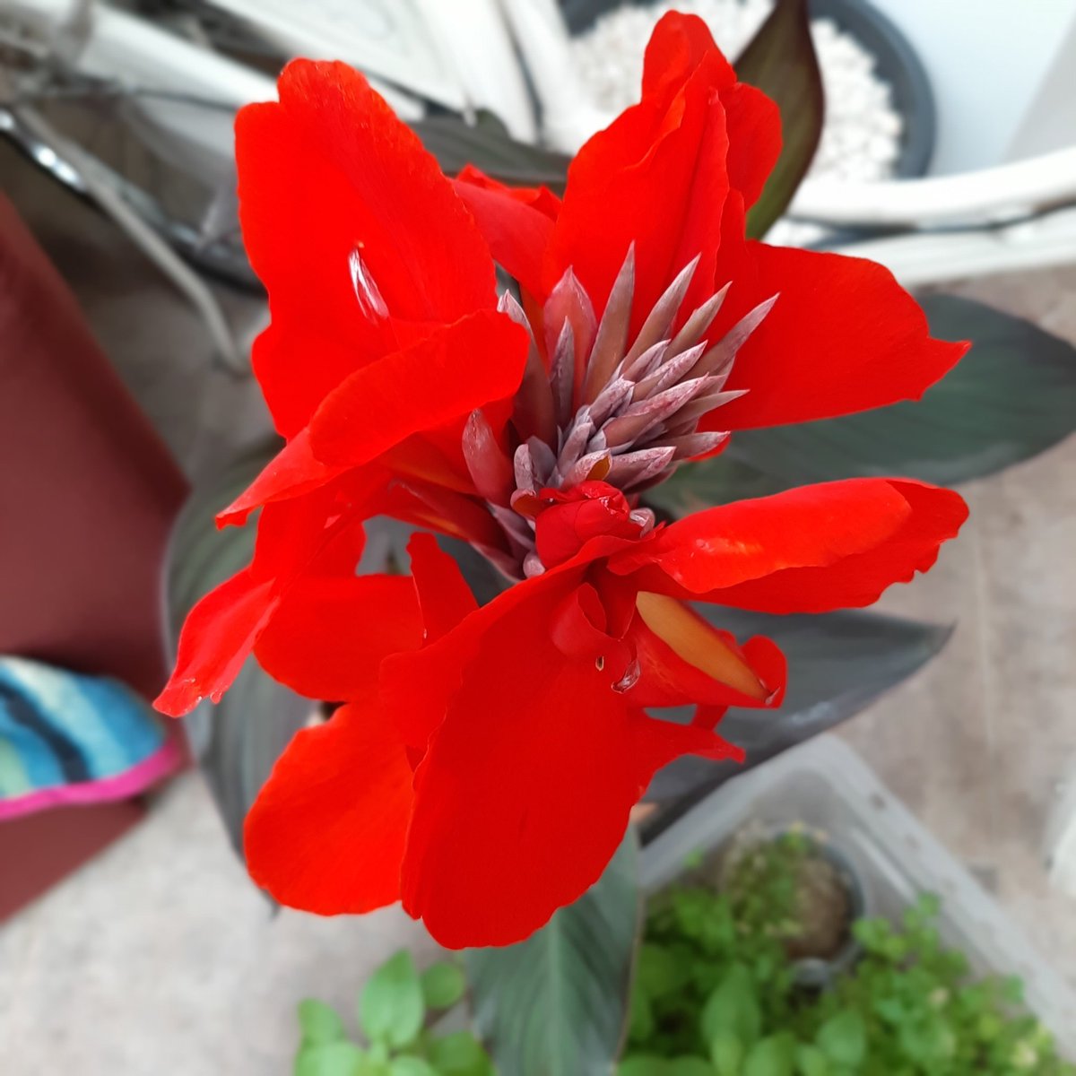 Red alert #anotherbeautifulday