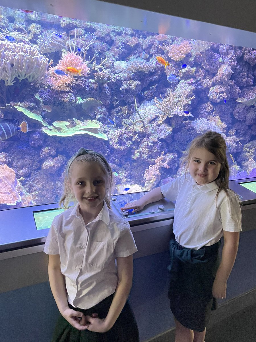 WCoFE_Beech12's tweet photo. We had a fantastic day at the deep yesterday. Finding out all about how we can protect our oceans🐡⭐️🐠 https://t.co/Ddtfljbfme