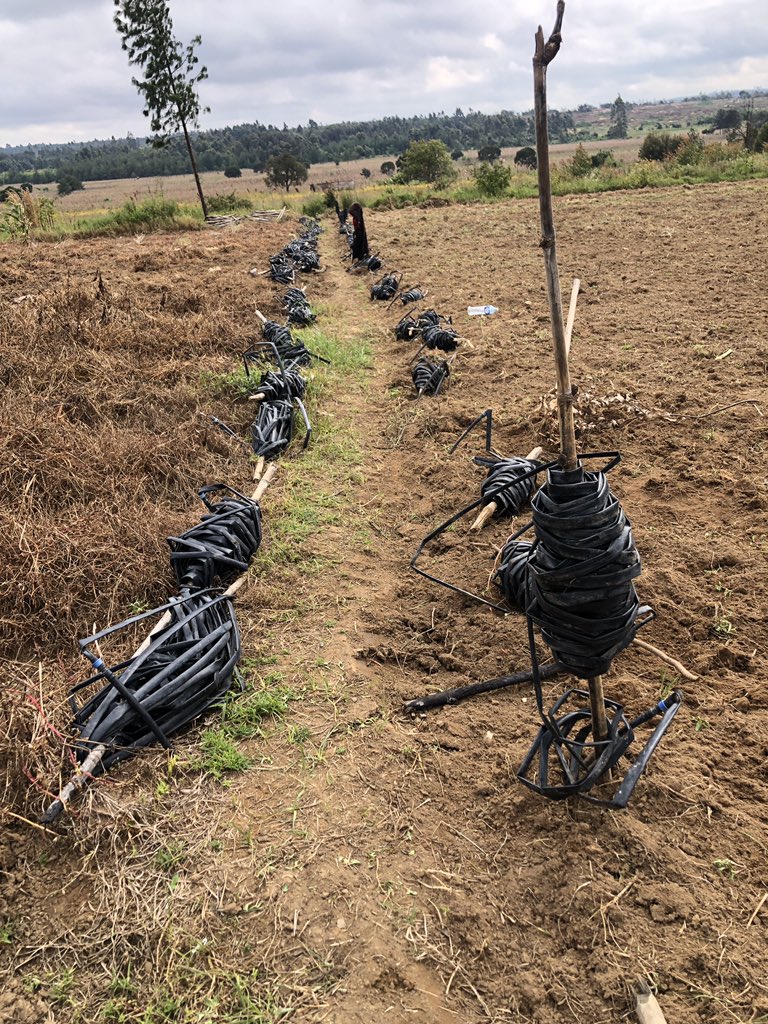 There is nothing like field research. Right now trying to understand a business I barely know to design new strategies of growth. Not a digital business at all but maybe some tools could be useful for management and process optimization 💪🏽 #backtobasic