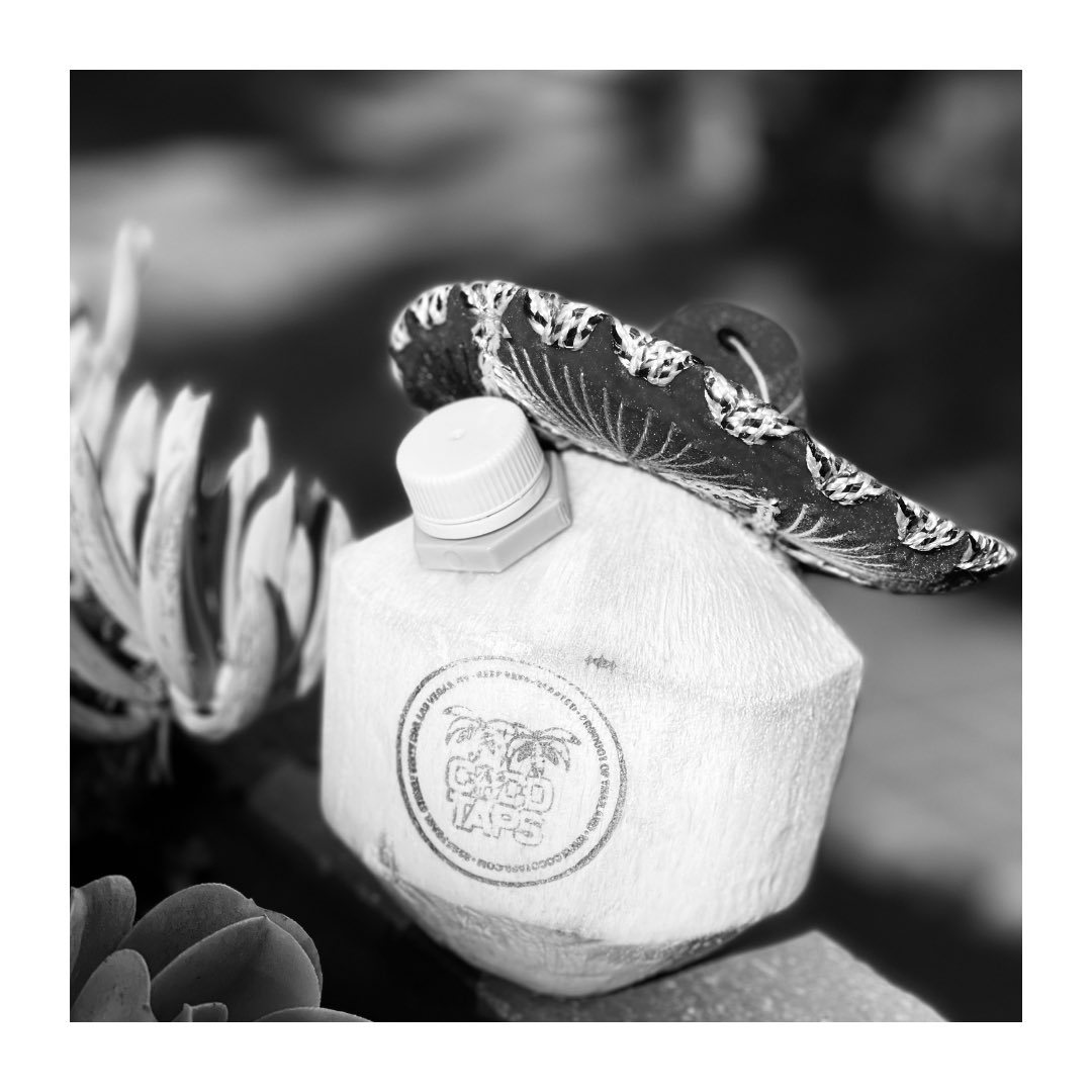cocotapsforyou's tweet photo. Hola Coconuts! It’s Cinco De Mayo and Tap your thirst Thursday. Drink your coconuts responsibly and stay safe. 🧉🇲🇽💃🕺🌮🪅 #cincodemayo #tapyourthirstthursday #cocotaps #cocolove #drinkresponsibly @VincentZaldivar https://t.co/ODL1R6FaF2