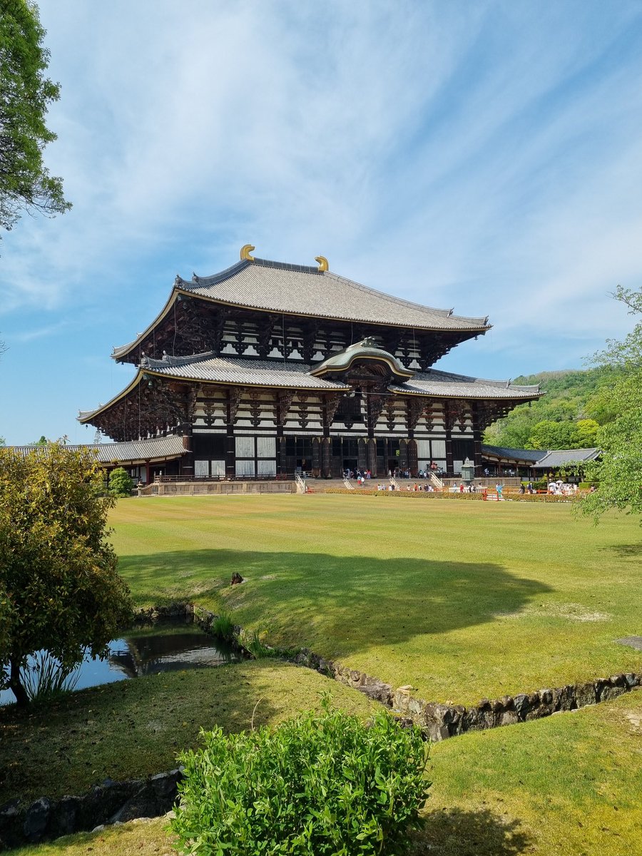 MissJacobsen1's tweet photo. Been soaking up Nara today. https://t.co/6xjJie2scC