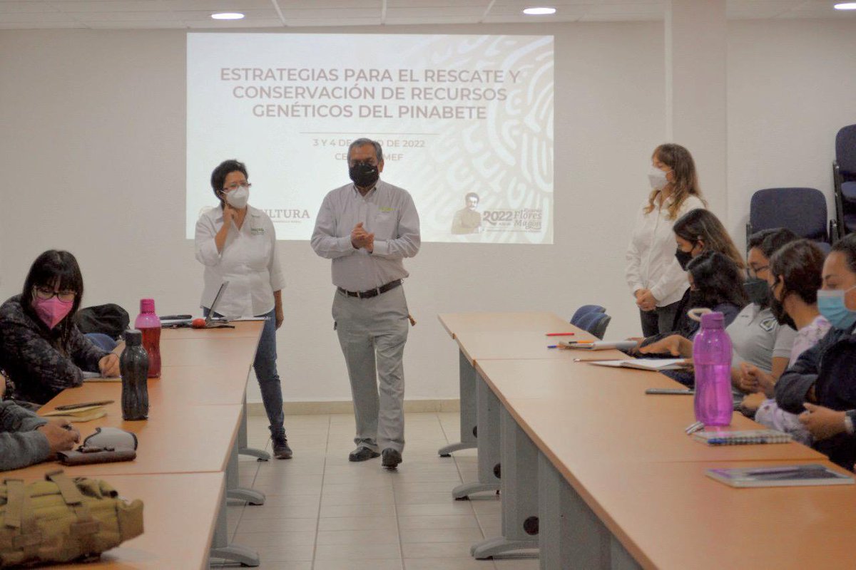 inifap's tweet photo. 📸 El 3 y 4 de mayo, colaboradores de #PROBOSQUE, investigadores del #COLPOS, profesionistas y productores asistieron al #CENID #COMEF para el CURSO teórico-práctico "Estrategias para el rescate y conservación de recursos genéticos del #Pinabete". 🍃🔬🧫 https://t.co/FKyiyfikcZ