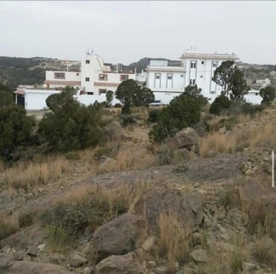 الله على الديره والله اشتقت له ❤️😭