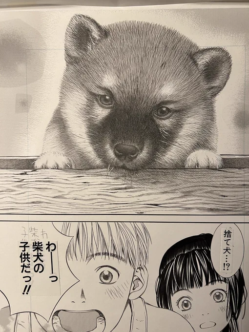 柴犬の子供はめちゃくちゃ可愛い…

それでは皆さんおやすみなさい🌙 