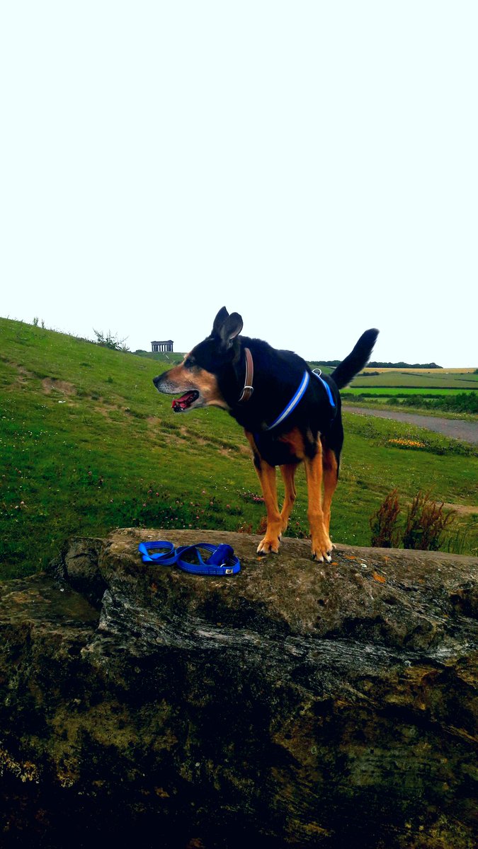 Cain 🌈 tweet media