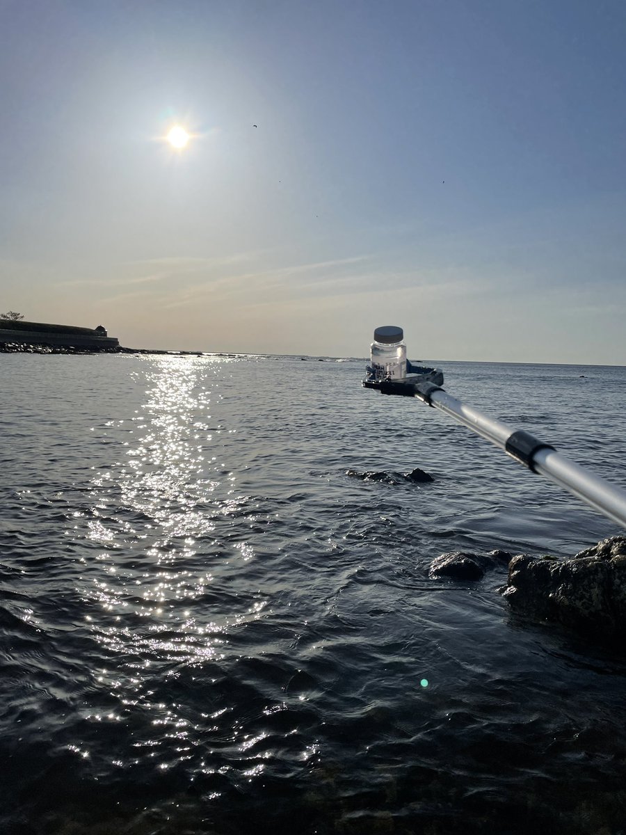 Happy Thursday from my lil sample and I 🤩