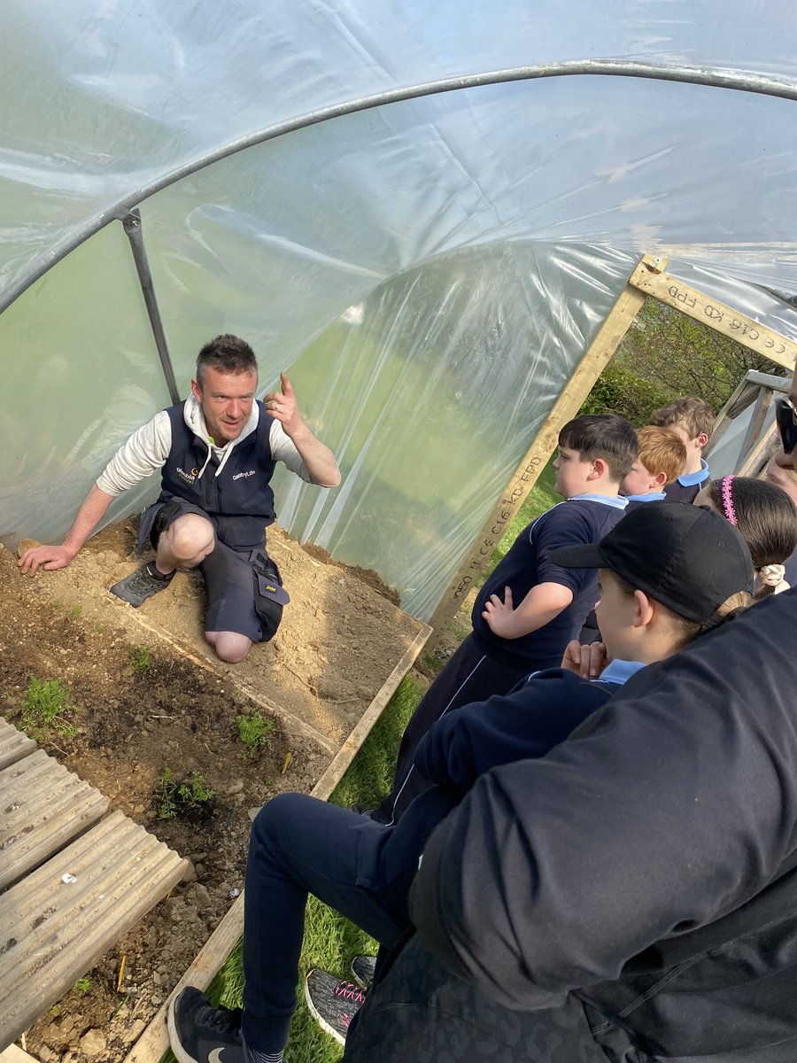MrsByrneBNS's tweet photo. Fergal from @GlanbiaPlc gave our @GreenSchoolsIre team great tips too on planting and looking after our Incredible Edibles in the polytunnel too! @RathnureNS @lhorerns @MsOConnorRNS @AgriAware 🥕 🥔  🍓 lettuce https://t.co/0wBlWpJ5Cb