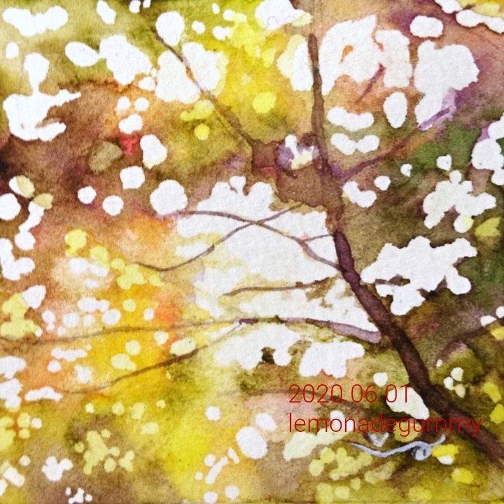 「企画参加します🌸投稿間に合った…!
色鉛筆や透明水彩で風景をよく描いています。」|れもんぐみ@4/7~企画展シビュラたちが志向するソサエティ(東京)のイラスト