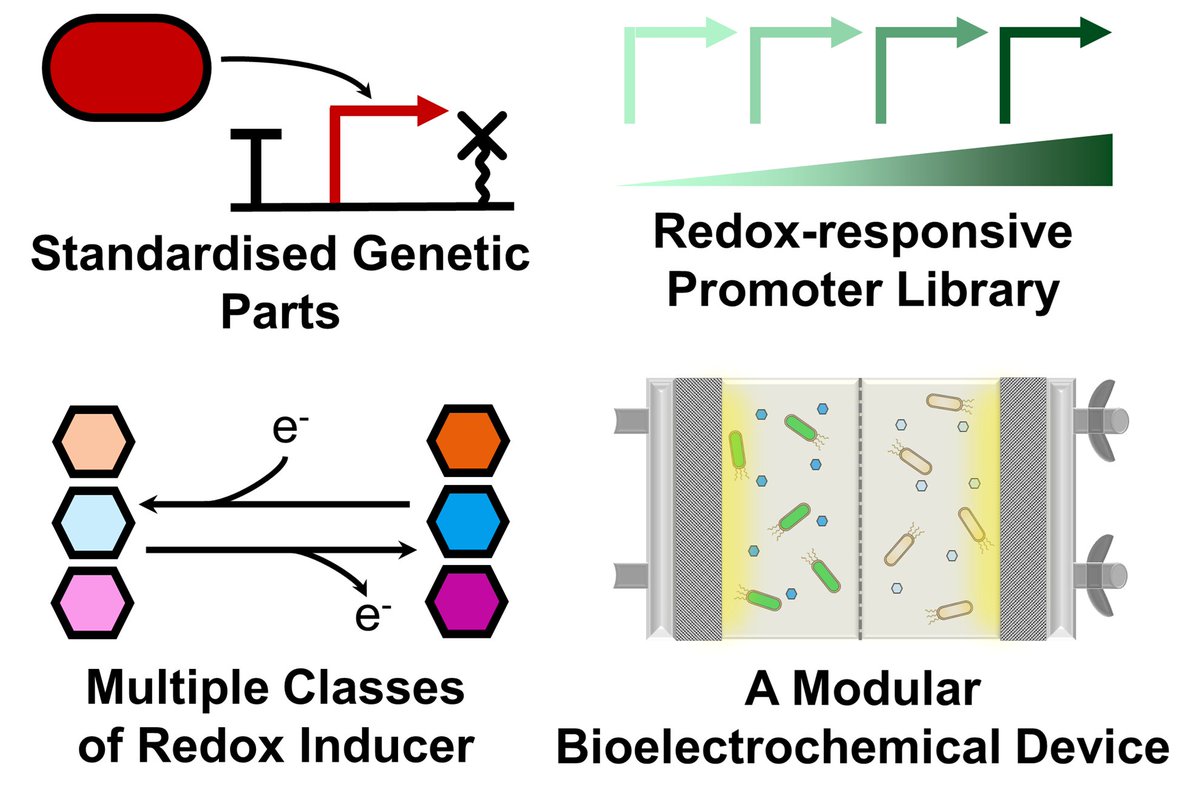 Josh Lawrence tweet media
