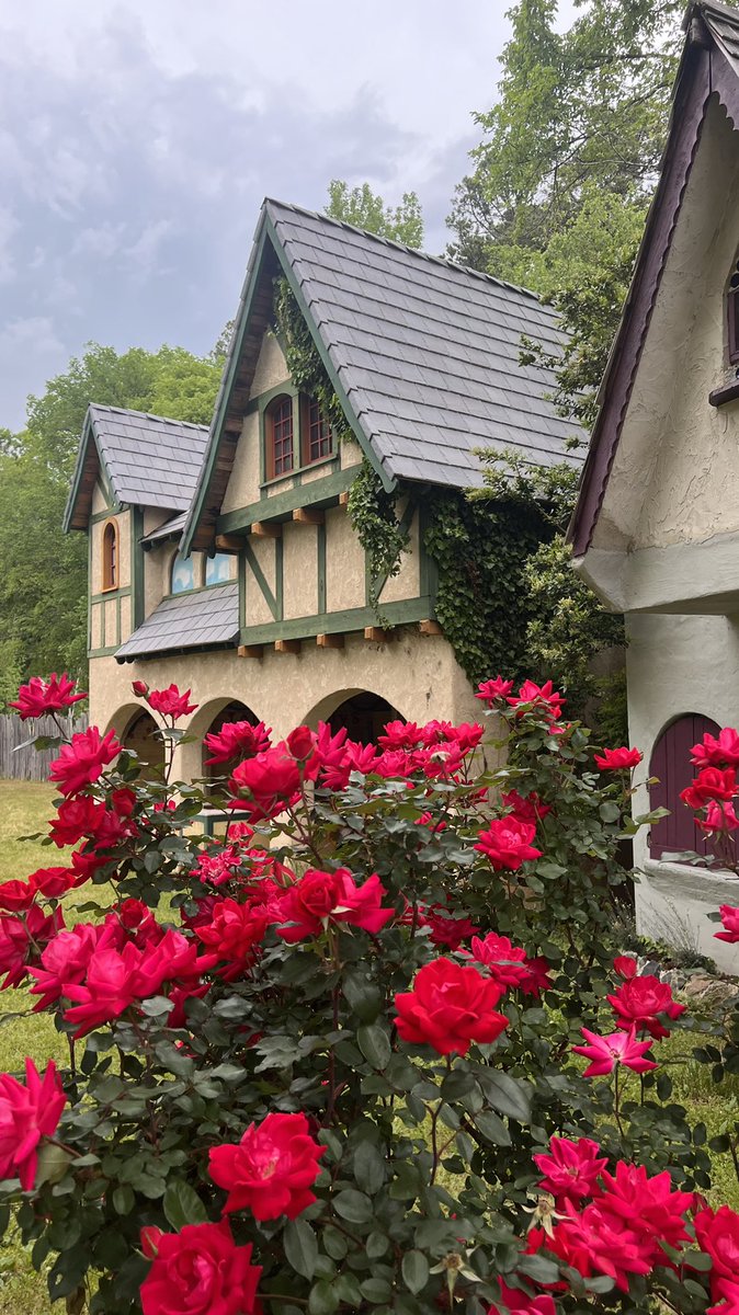 April showers bring May flowers! 🌺