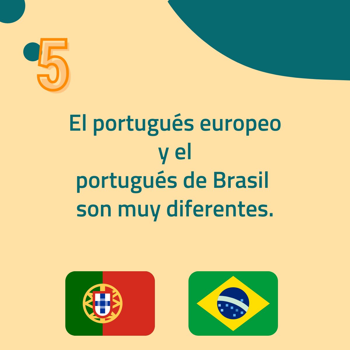 BigTranslation tweet media