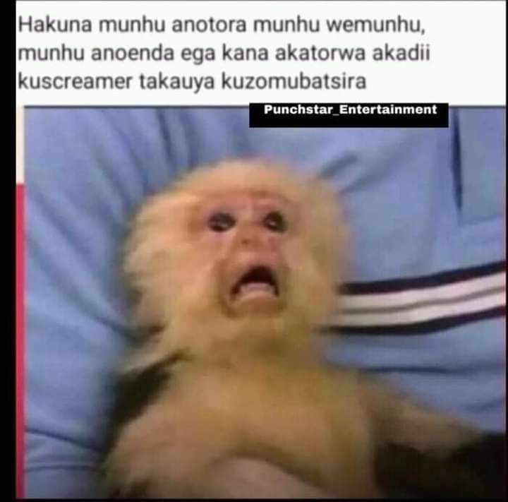 LillyRhoda2's tweet photo. Hanzi ndewaMwari though https://t.co/y7wOzYzk13