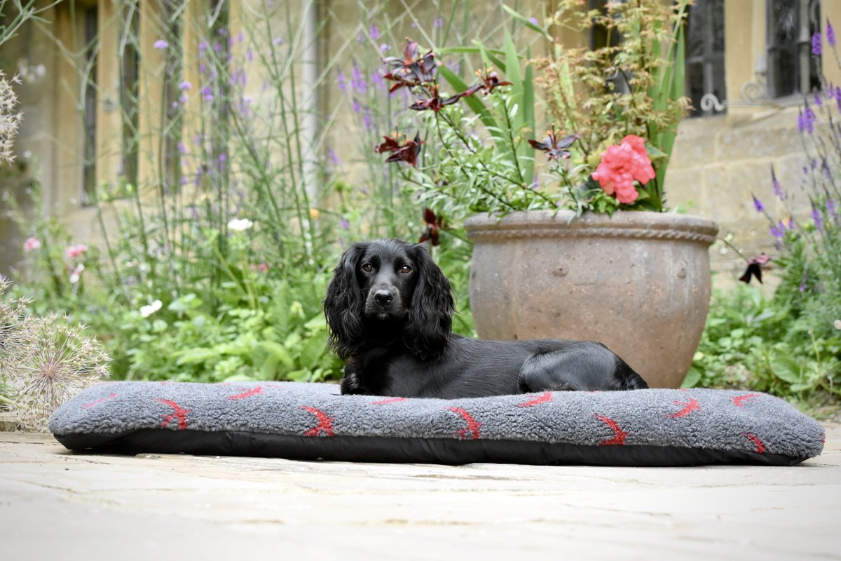 Our puppy tuffie is a great investment. Use it folded when your pup comes home and once it grown you can open it up and use it as a travel mat! tuffies.co.uk/item/33/Puppy-… #tuffies #tuffiesdogbeds #bestdogbeds #ilovemydog #madeinscotland