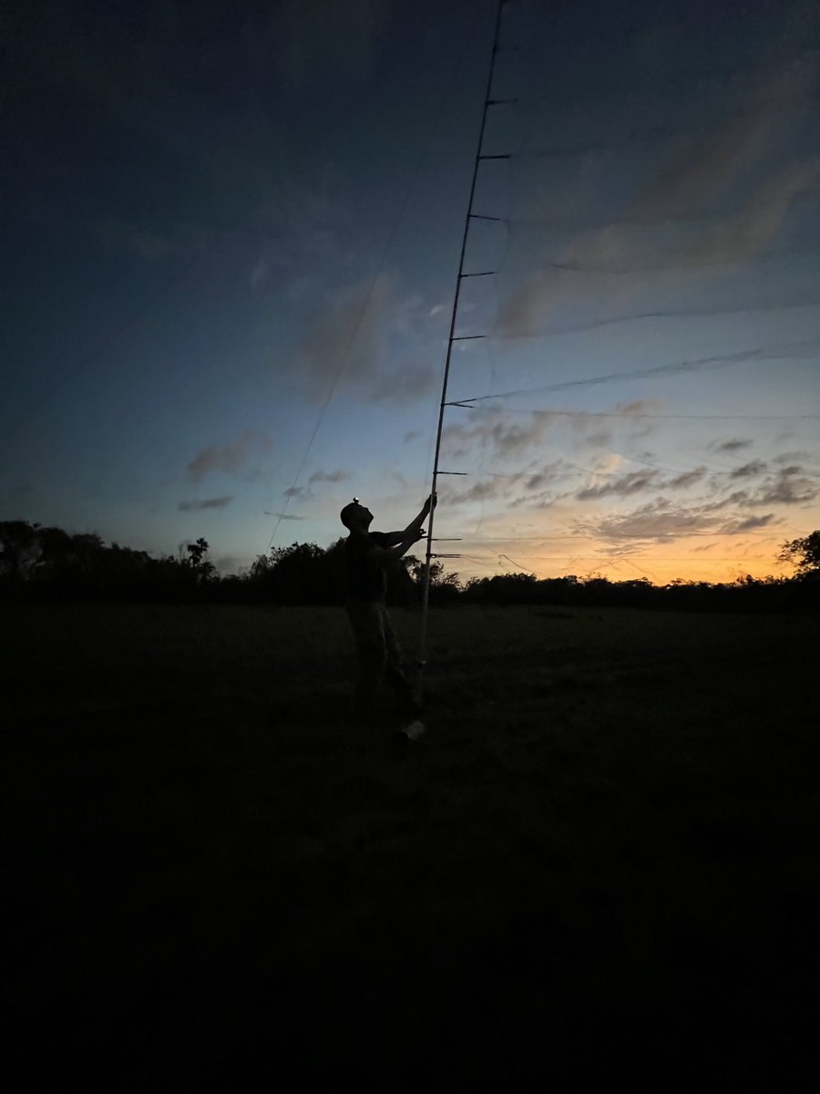 Mormoops's tweet photo. Gotta say that from all the #contraptions I use to capture #bats, the more I set triple-high #mistnets, the more I like them. I got my first #DwarfBonnetedBat (Eumops nanus) in this one! #belize #batathon #SLaBB https://t.co/bqdr9JycbW