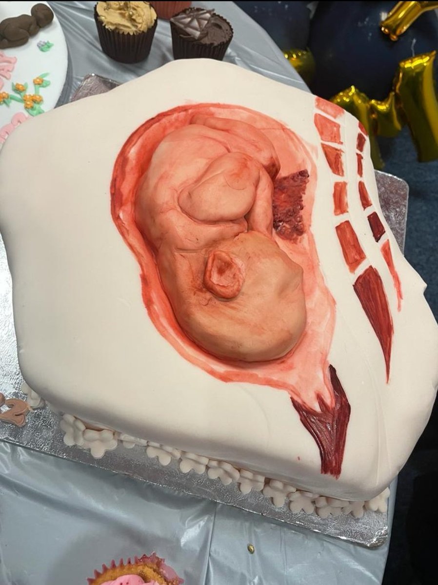 Maria Benedetti RM🇨🇻🇵🇹🇬🇧 tweet media