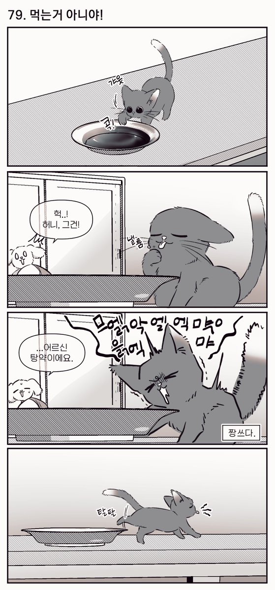 [혼윶] 고양이 육아는 처음이세요? [20편] 