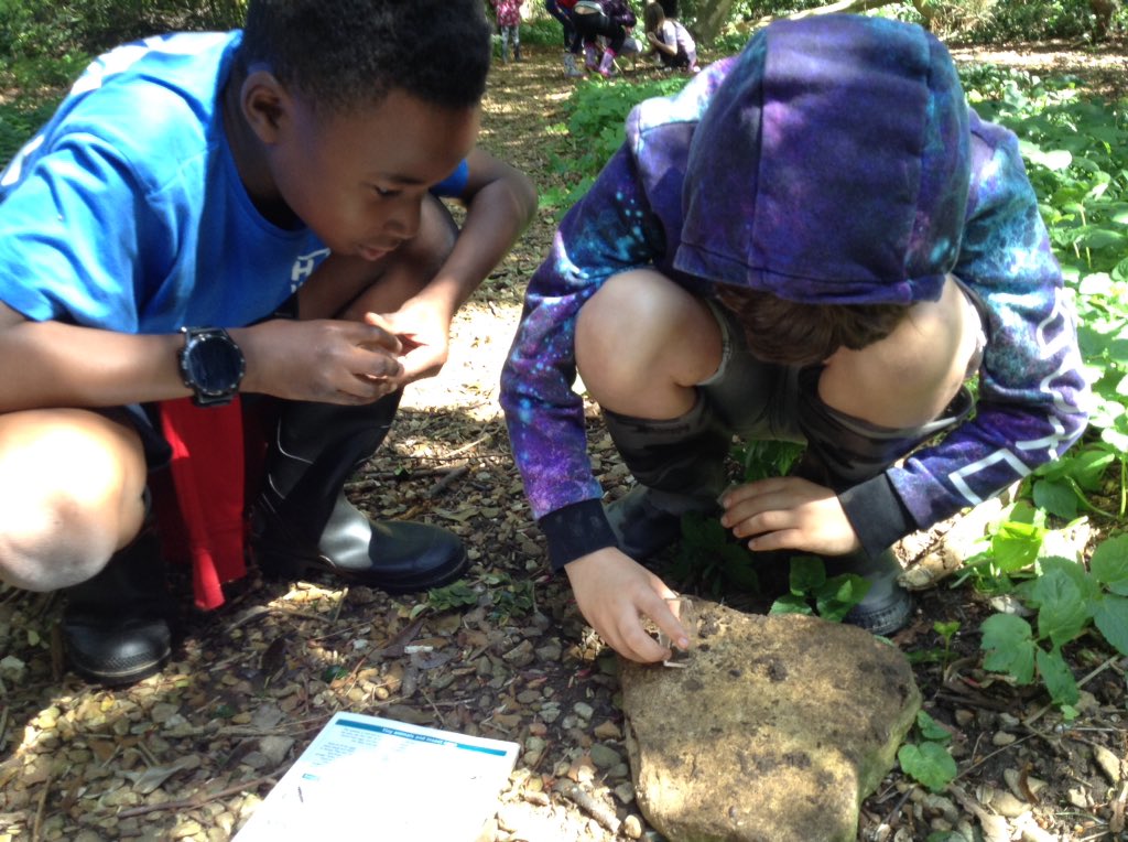 Nene Valley Office tweet media