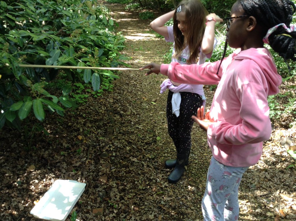 Nene Valley Office tweet media
