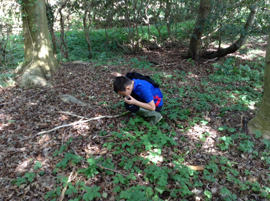 Nene Valley Office tweet media