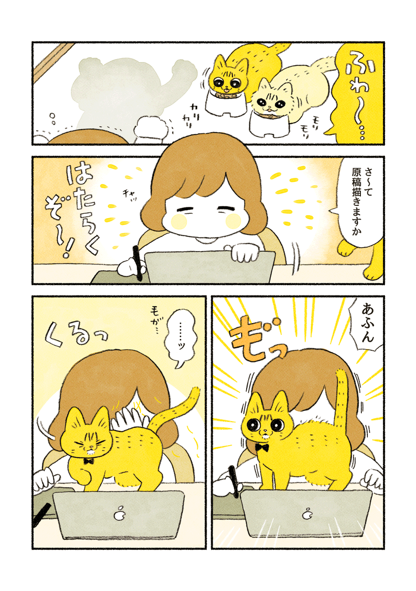 【再掲】
引越しによって崩れた生活リズムを取り戻そうとしたお話🐱🐱 