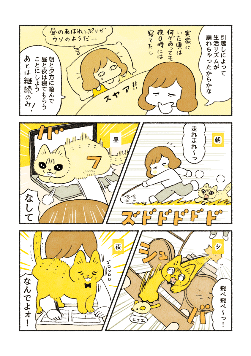 【再掲】
引越しによって崩れた生活リズムを取り戻そうとしたお話🐱🐱 