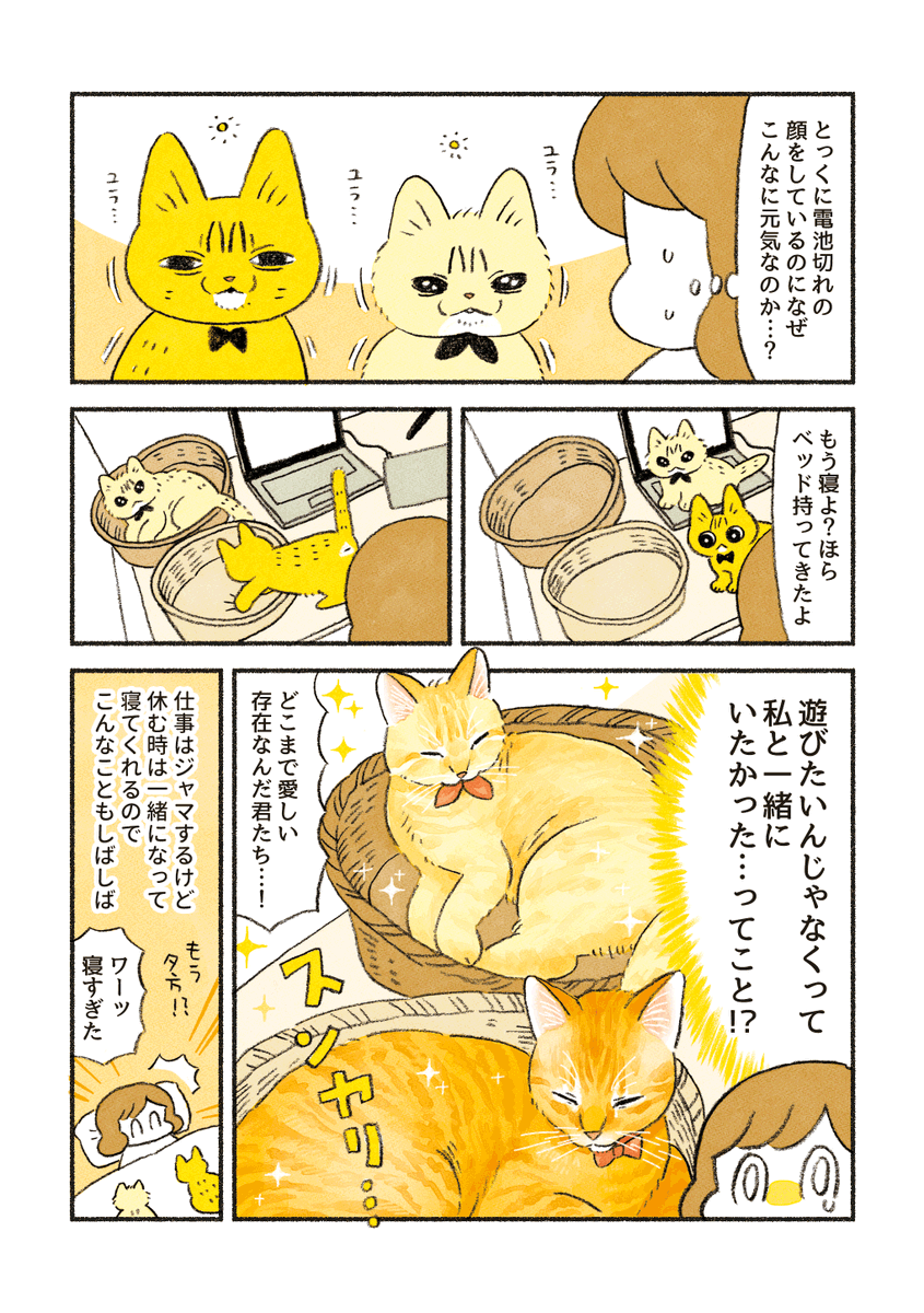 【再掲】
引越しによって崩れた生活リズムを取り戻そうとしたお話🐱🐱 