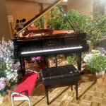 ツイートに含まれる画像