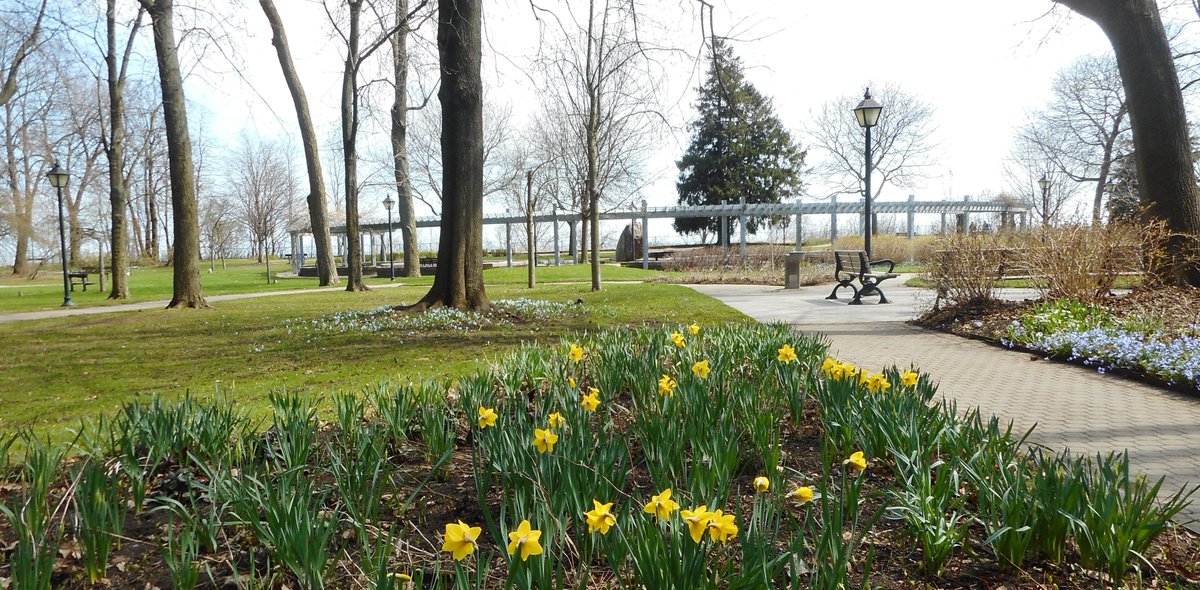 It’s a welcome sight. Finally, the first flowers blooming at Rosetta McClain Gardens.