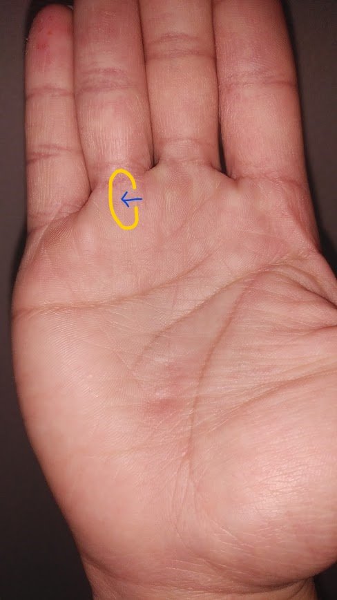 Narciist 占い 太陽線です 薬指の下である太陽丘に伸びる線です 成功運 人気運 芸術的センス 財運を表します 青い矢印の先に薄っすら存在します 薄い場合は成功運や人気運ともに恵まれているものの満足感は薄目の方です 左手は薄すぎるので
