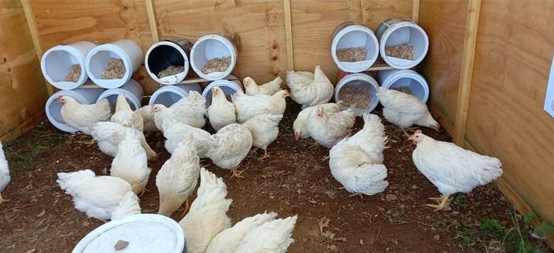 RekordNewspaper's tweet photo. Veggie garden gives hope to women of Cemetery View
The project sees the women being taught how to farm vegetables and poultry on a portion of land at the informal settlement. Read more> https://t.co/qbmBDmQAf0
#RekordNews | #PlasticView https://t.co/ZdRGWz4dOd