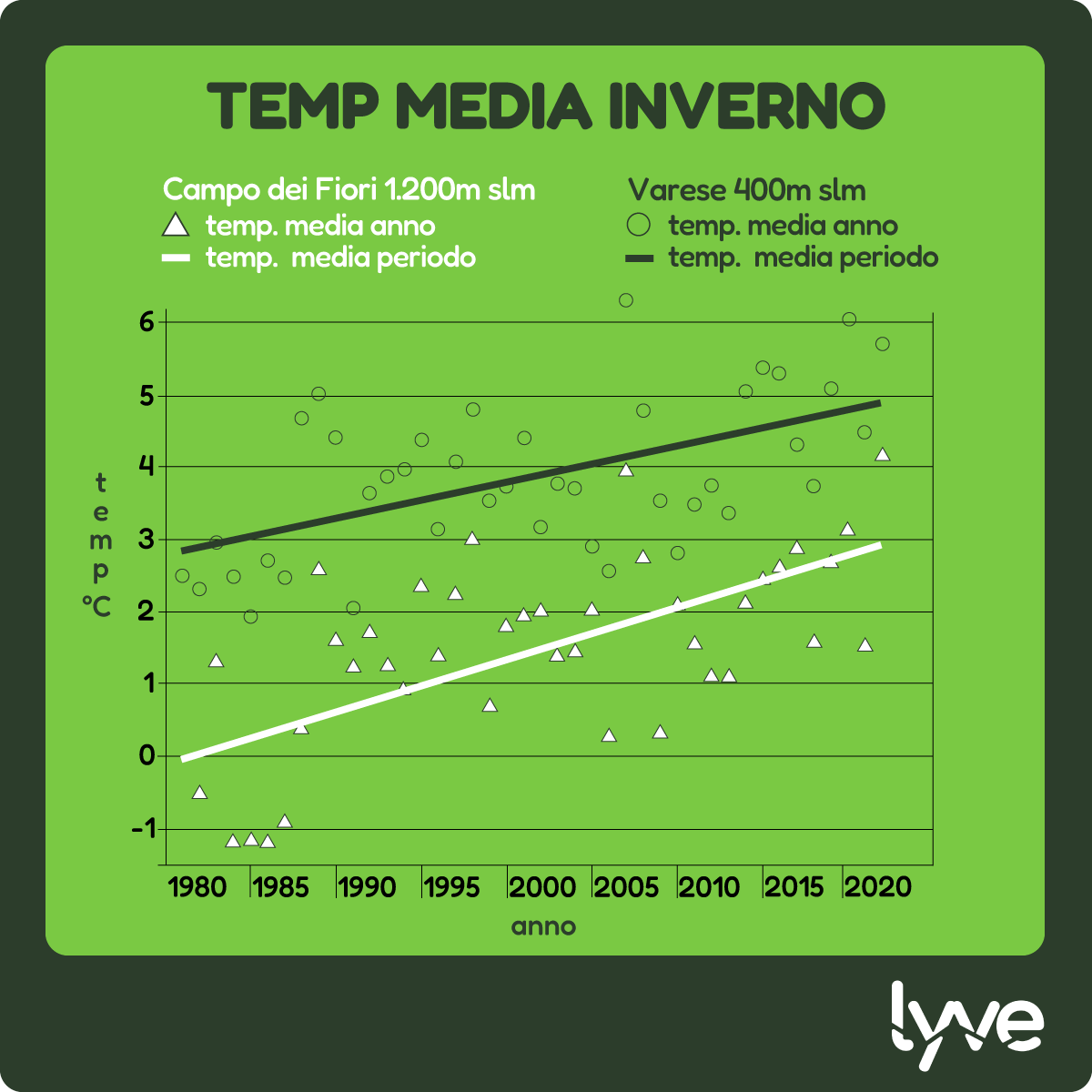 lyvesrl tweet media