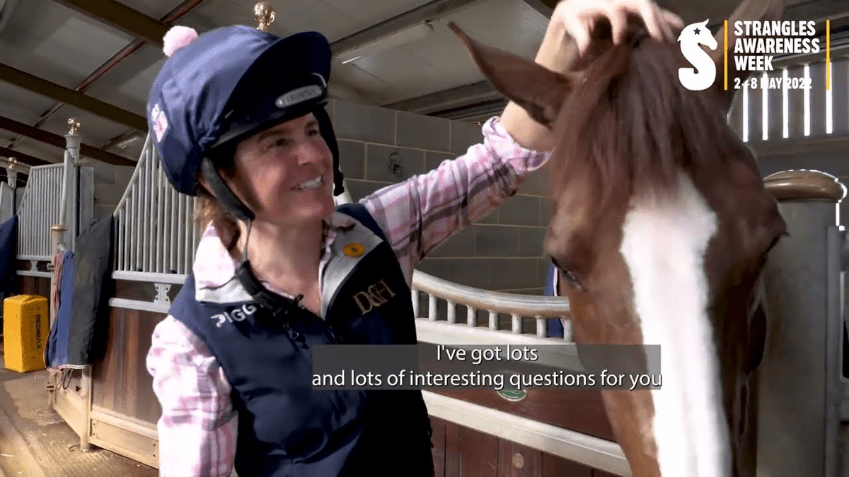 myvetsocial's tweet image. Are you taking part in @StranglesWeek #TempCheckChallenge?

Find out how to take your horses' temperature safely for the first time: youtu.be/7SrAc0i95bE with Eventer @PiggyMarch &amp;amp; @RedwingsHS Sarah Hallsworth.

#SAW2022  #SpeakOutOnStrangles #Veterinary #Equine #Horses