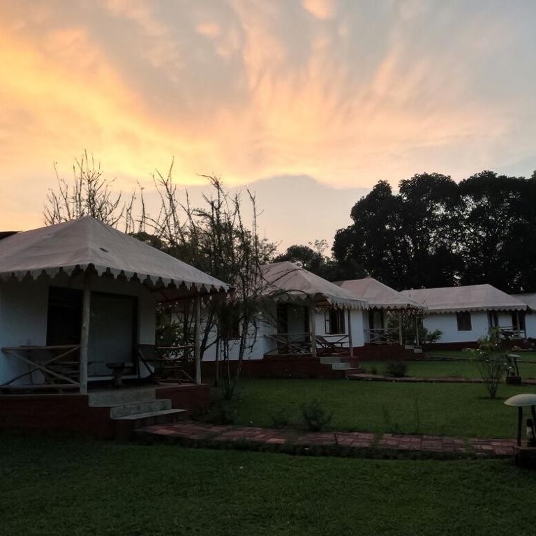 Campmonk_india's tweet image. Experience an eco-friendly lifestyle at this Cottage Stay in Coorg!

Plan your trip at l8r.it/jCMI

#kushalnagar #coorg #naturestay #campmonk #getawayfrombangalore #incredibleindia #karnatakatourism #weekendgetaway #camping