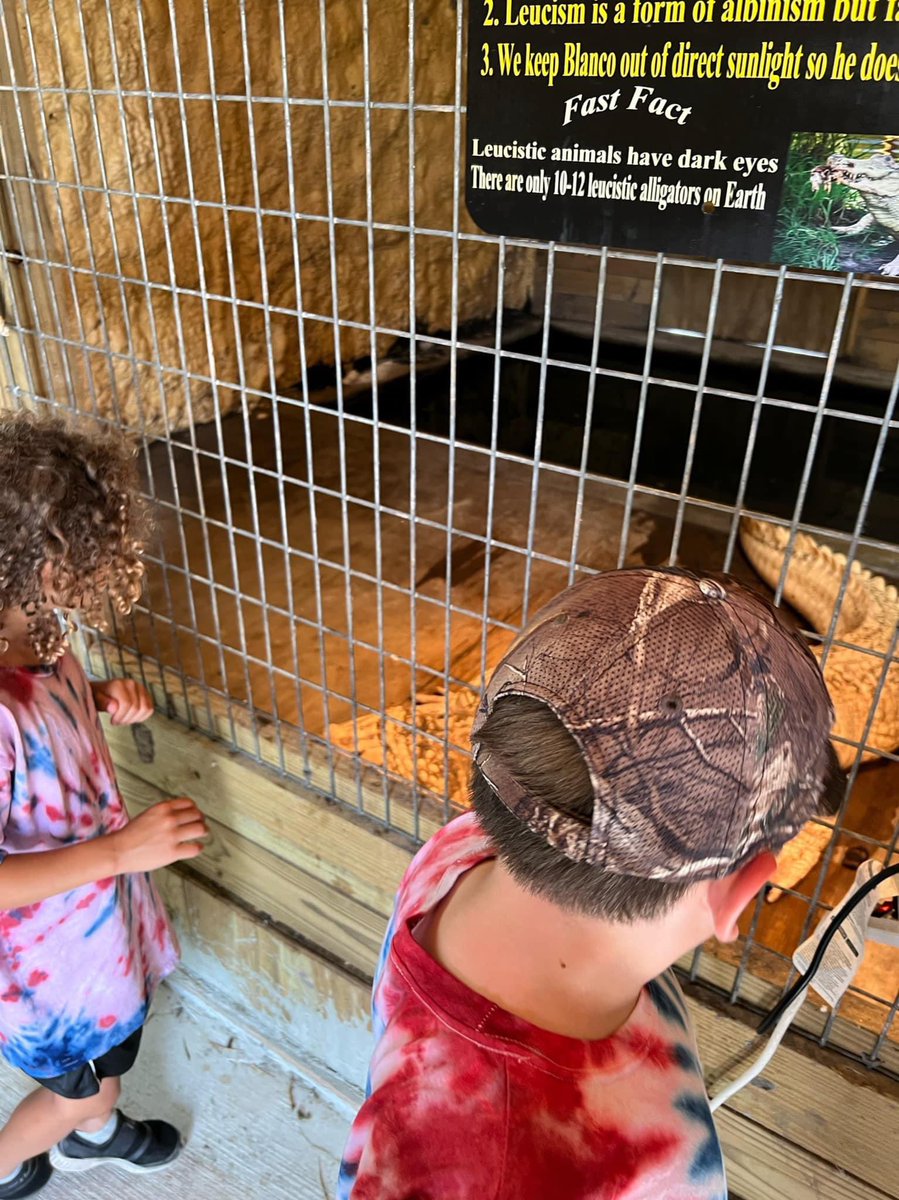 WildPeachCBISD's tweet photo. Here come the crocodiles!!!🐊 Kindergareten LOVED their field trip today. Thank you Crocodile Encounter for having us! https://t.co/iPFsSj0AlD