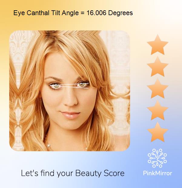 What is an Eye canthal Tilt? Why is a positive tilt more attractive than a  negative tilt among males? - PinkMirror Blog