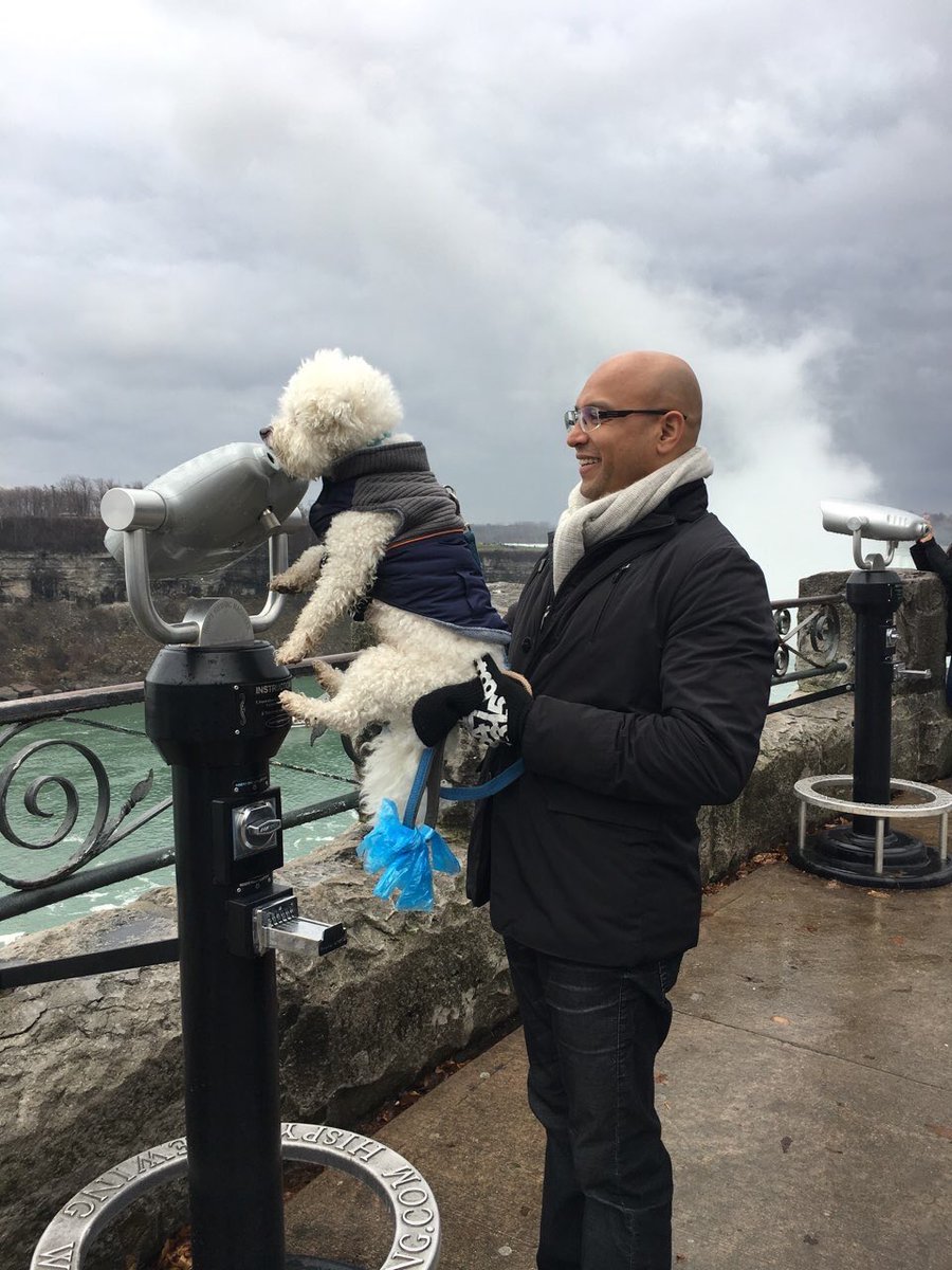 BichonMugsy's tweet photo. Memories of Canada. Niagara Falls#globalbichon #dogslife https://t.co/W4n6ncS5s4