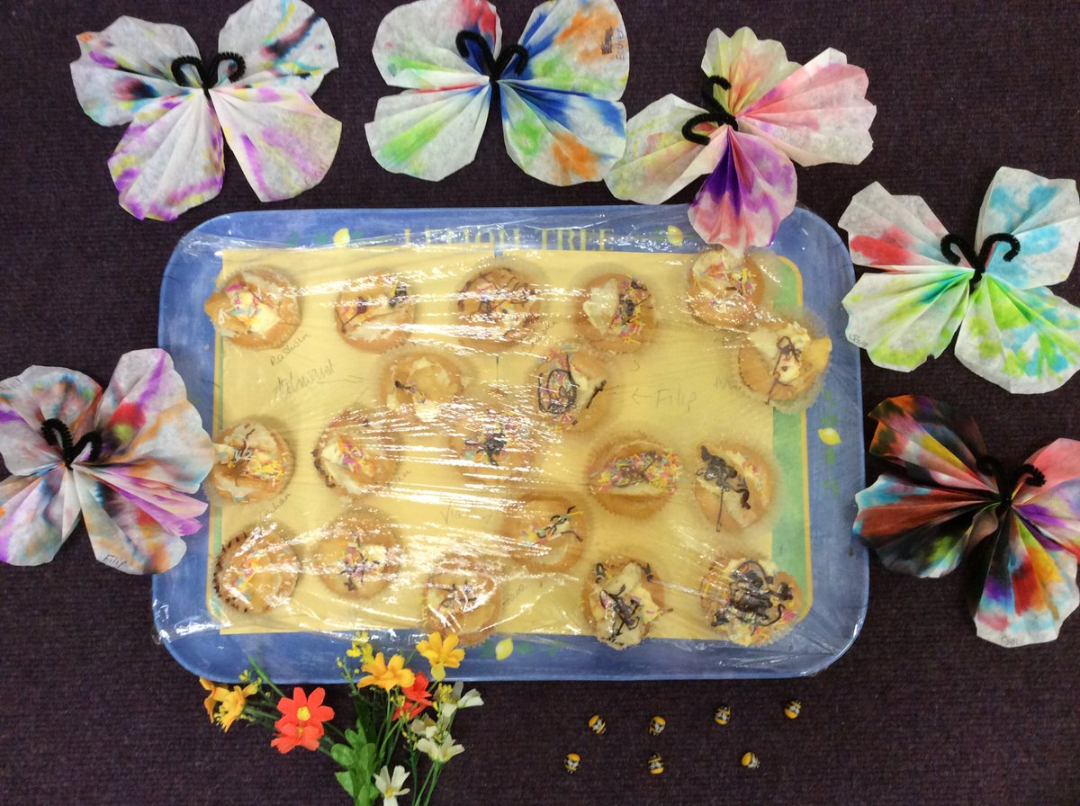 In Reception this week we are learning all about Minibeasts. Today we have made some butterfly cakes and some butterflies made from coffee filters.  They look amazing!