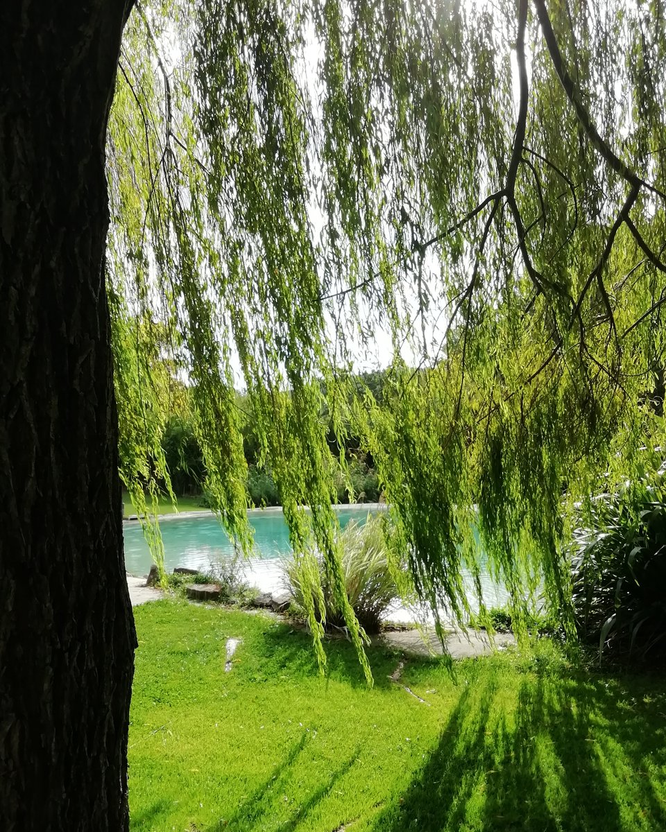 LebbianoResiden's tweet photo. Scorcio del @LebbianoResiden #firenze #resort #appartamenti #comfort #relax #silenzio #pace #piscina #pool #break #vacanza #holiday #travel #turismo #pausa #green #natura #verde #garden #alberi #picoftheday #photooftheday #pic #picture #fotografia https://t.co/LWHYpSZjGv