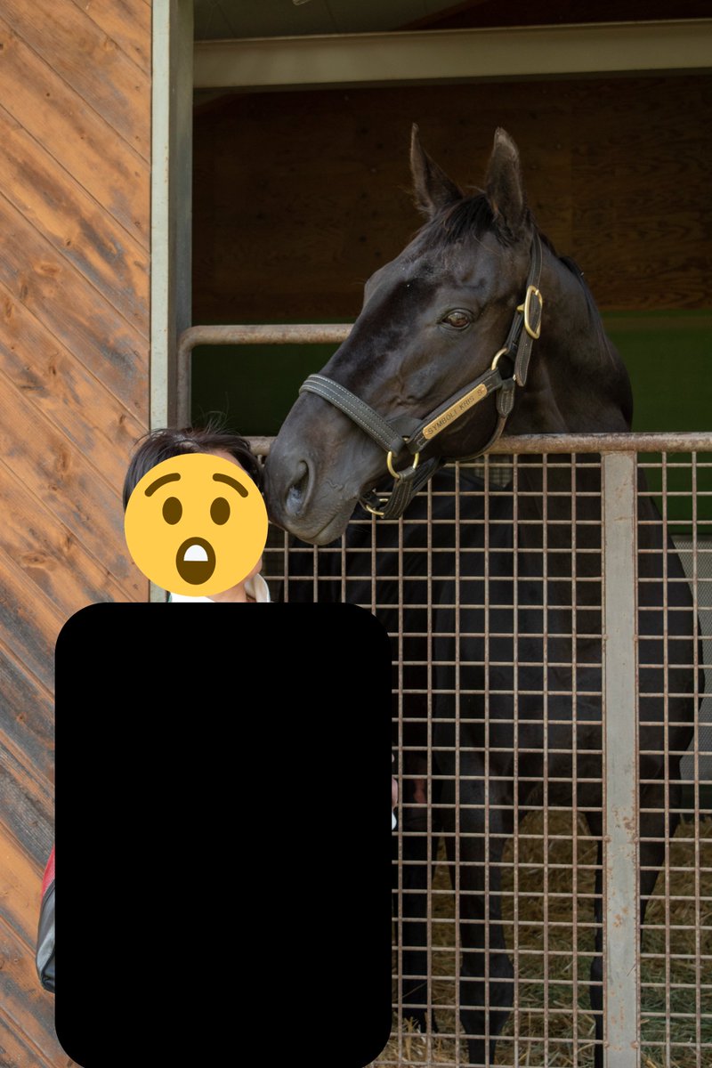 22年05月05日の注目ツイート 13ページ目 メガとんトラック