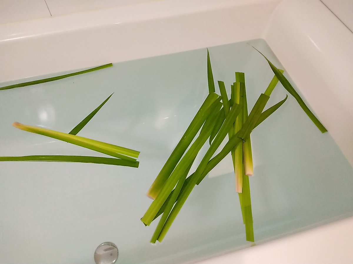 菖蒲湯 のイラスト マンガ作品 22 件 Twoucan