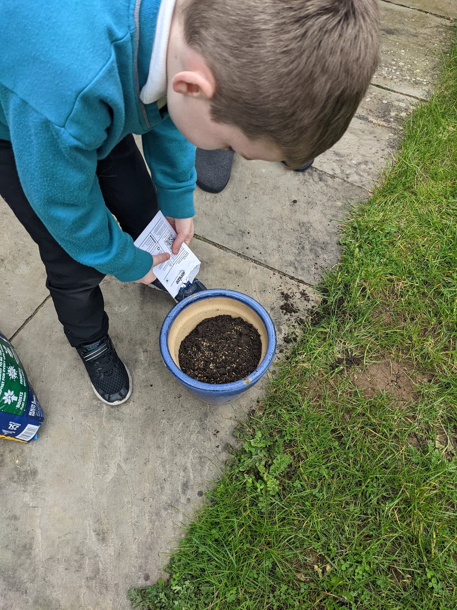 Melrpalm's tweet photo. @amyparsonsMCA @Mayflower_MCA  
F enjoyed planting his seeds that he brought home from school. He's excited to watch them grow. https://t.co/PubL88ylDS