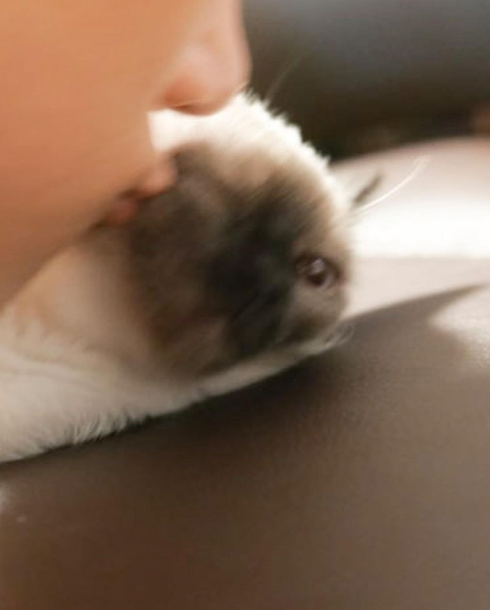 Chitta 🧸 tweet media