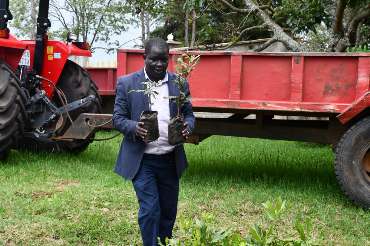 WPCGovernment's tweet photo. @WPCGovernment through the Directorate of Cash Crops will distribute 3,200 macadamia seedlings to farmers in Mnagei, Siyoi and Kapenguria Wards. https://t.co/hzQoyLhQIL
