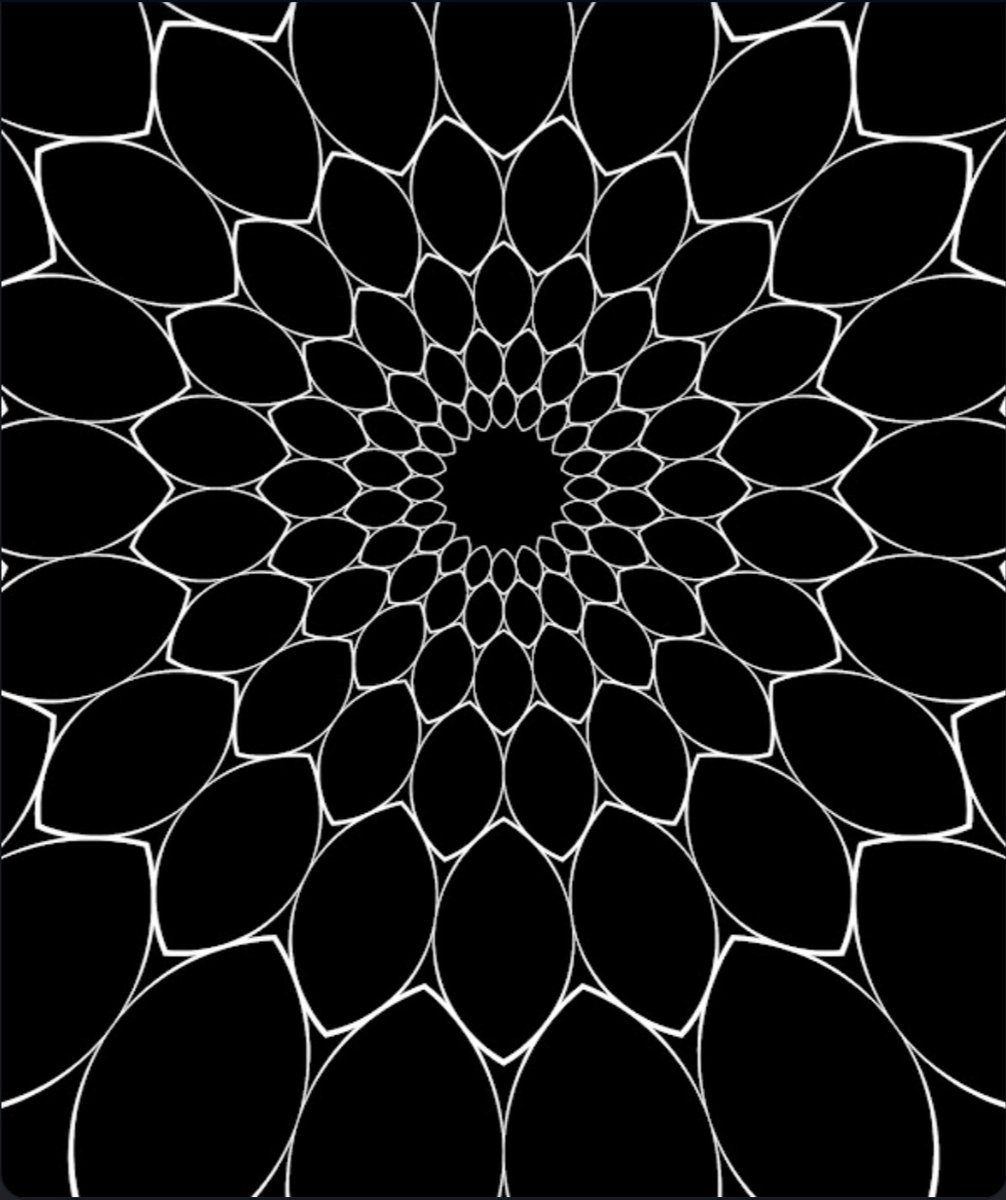 Alize Rayner tweet media