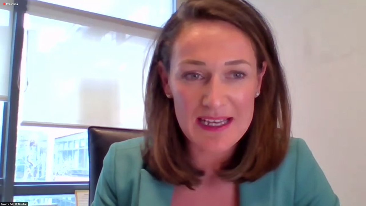 ILMIreland's tweet image. "With ILMI I have worked with both @louthcoco and Councillors throughout Ireland to ensure that 29 Local Authorities have already passed a Motion in support of the right to #PASNOW. With unanimous LA support we can finally achieve true #EQUALITY, choice and control". #ILDAY22