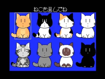 画像 / Picture
