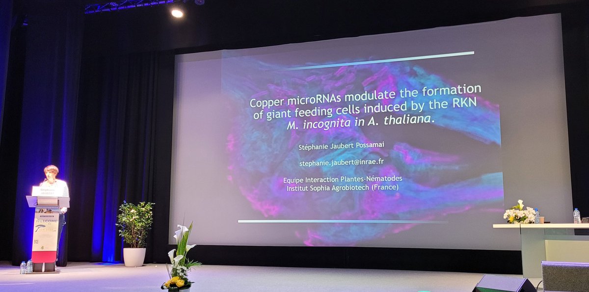 Great presentation by Stéphanie jaubert @stephejaubert on 'Copper microARNs modulate the formation of giant feeding cells induced by the root nematode Meloidogyne incognita in Arabidopsis thaliana' #ICN2022