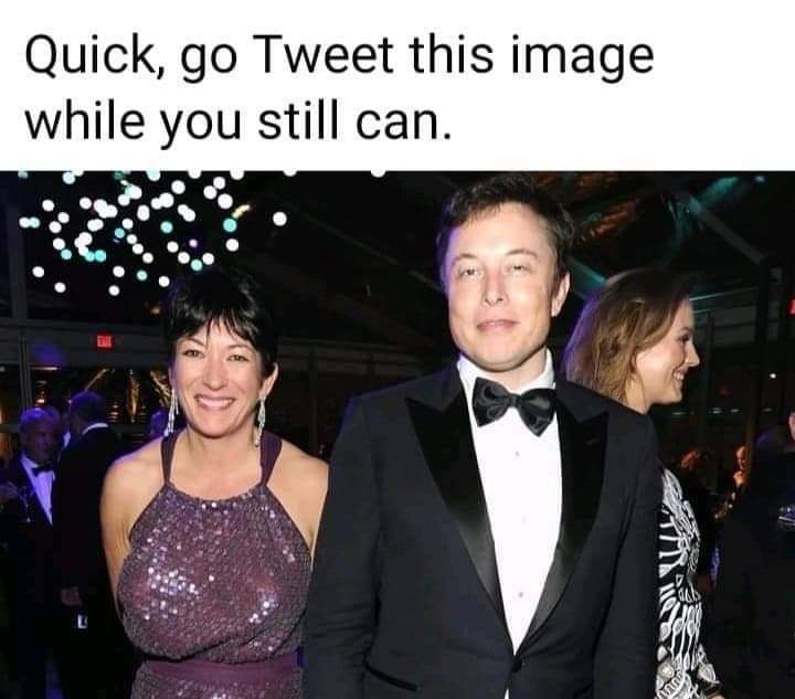 LIKE_LONDON's tweet photo. Loool @elonmusk https://t.co/6l8fZ0RAdR